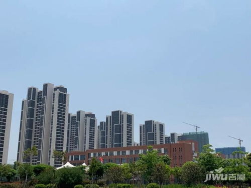 廈門濱?；▓@新星 融信鉑悅灣，撿漏良機不容錯過